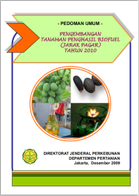 PENGEMBANGAN TANAMAN PENGHASIL BIOFUL (JARAK JAUH) TAHUN 2010 ebook