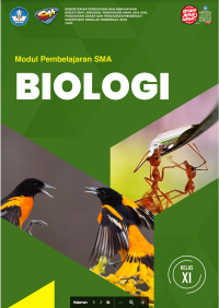Image of MODUL PEMEBELAJARAN SMA BIOLOGI KLS XI ebook